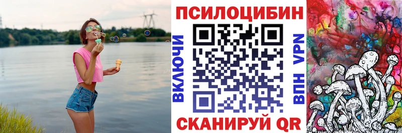 Галлюциногенные грибы мицелий  дарк нет какой сайт  Вытегра  где купить наркоту 
