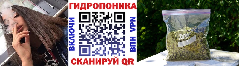 купить наркотик  Вытегра  нарко площадка официальный сайт  МАРИХУАНА VHQ 